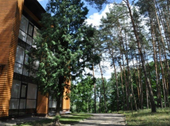 В борьбе за турбазу «Росинка» активизировались воронежские депутаты