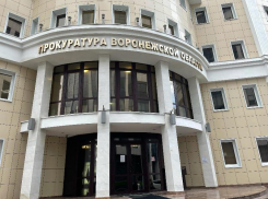 Прокуратура подключилась к драке школьников в Воронеже 