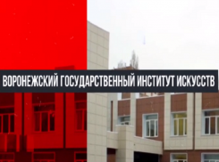  Воронежский институт искусств проведет день открытых дверей в режиме ОНЛАЙН