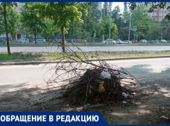 «Бардак на бульваре Победы никому не победить», – воронежцы предложили чиновникам поработать