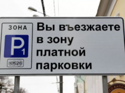 Депутаты предложили сократить платное время на парковках в Воронеже