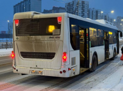 Сотрудники ГАИ взялись за проверку воронежских автобусов