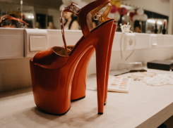 Насколько путаны доступны жителям Воронежа, подсчитали исследователи 