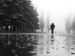 На рабочей неделе в Воронеж придут дожди