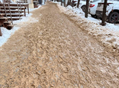 Новый прокурор Войнов крепко взялся за уборку Воронежа 