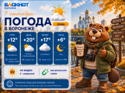 Лето и дожди: прогноз погоды в Воронеже