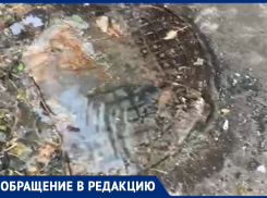 «Господину Кстенину» указали на вонь в Воронеже 