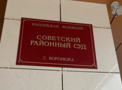Два резонансных дела одной Фемиды: воронежская судья оспорит отставку после «дисциплинарки»