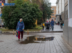 «Гринпис» опустил Воронежскую область на дно своего рейтинга
