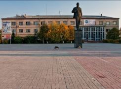 Воронежские аналитики предлагают правительсту области объявить Острогожский район зоной бедствия
