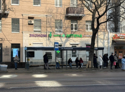 Остановки в Воронеже поумнели, но сломались