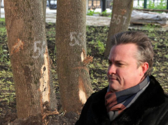 Помог ли парку Орленок усиленный пиар мэрии