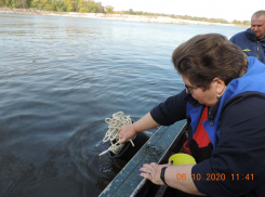 Опубликованы фото разлива нефтепродуктов на реках под Воронежем