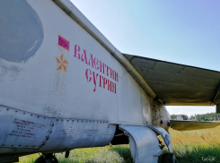 Запретные снимки легендарного истребителя сделали на кладбище самолетов под Воронежем
