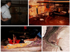 Константин Ашифин о змеях в подвале дома на улице Остужева