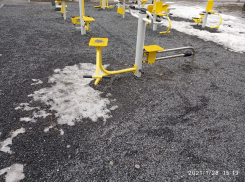 Площадку для сурового взросления и оздоровления нашли в Воронеже