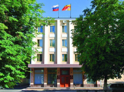 Новый состав Общественной палаты Воронежа сформируют за месяц