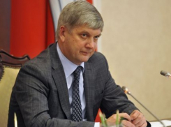 Как организовывали предвыборную кампанию мэра Воронежа Александра Гусева