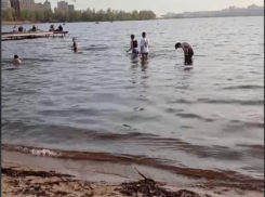 Воронежцы открыли купальный сезон в апреле
