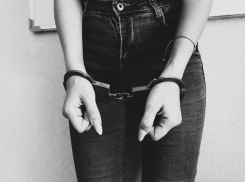 Женщина жёстко избила пришедшую к ней с проверкой сотрудницу полиции в Воронеже