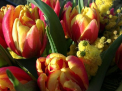 Социологи: на 8 марта подарки делают чаще, чем на 23 февраля