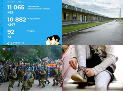 Коронавирус в Воронеже 30 июля: больше 11 тыс зараженных, срыв Дня ВДВ и точное открытие детсадов