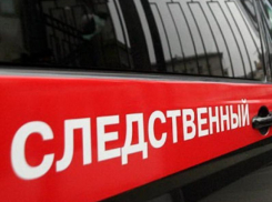 Высокопоставленный воронежский врач попала под следствие за помощь сыну