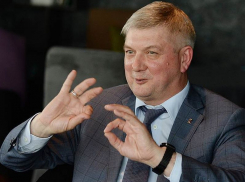 В конце нерабочих дней из-за COVID-19 Гусев похвастался воронежской статистикой