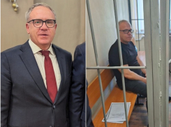 Из министерства – за решетку: путь Геннадия Швыркова 