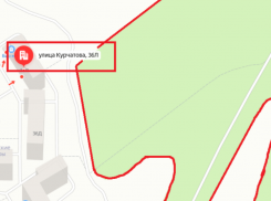 Шиловская битва за генплан выиграна без боя: мэрия заявила, что лес застраивать никто не собирался