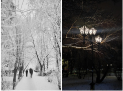 От минус двадцати до плюса будет скакать температура в ближайшие недели в Воронеже 