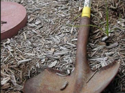 В Россоши пьяный ударил по голове лопатой собутыльника