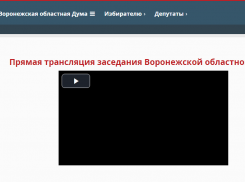 Черный квадрат Нетёсова показали воронежцам 