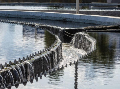 Причину вечернего зловония весной 2024 раскрыли в Воронеже