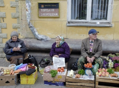 Воронежские власти за полгода оштрафовали незаконных торговцев на 2,7 млн рублей