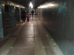 ФАС уличила мэрию Воронежа в нечестной концессии сгоревшего перехода