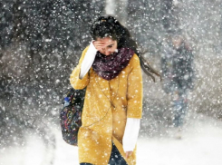 Синоптики рассказали, когда в Воронеже пойдет снег