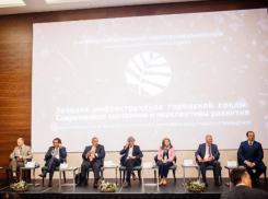 Иностранные эксперты назвали Воронеж перспективным в плане зеленой инфраструктуры