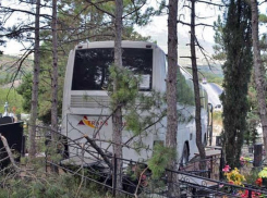 На Вербное воскресенье и Пасху в Воронеже заработают специальные маршруты