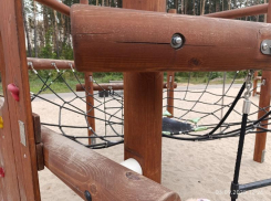 Компанию председателя воронежской ОП заставят переделывать детскую площадку