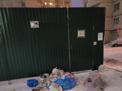 Мусорку для «элиты» обнаружили в Воронеже