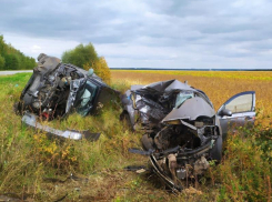 Жуткое смертельное ДТП сняли от первого лица под Воронежем 