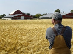 Глава воронежского села отбирал половину дохода фермера