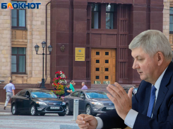 Автомойку с трехцветной пеной покупают за 4 млн для гаража воронежского правительства