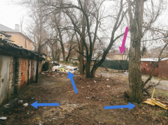 О «социальном протесте» жителей окраины рассказали воронежцы