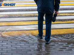 Ливни продолжат освежать Воронежскую область в начале недели 