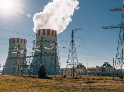 На Нововоронежской АЭС-2 завершилась миссия поддержки ВАО АЭС перед предпусковой проверкой 2-го энергоблока 