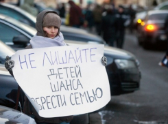 В Воронеже не стали проводить митинг против закона «Димы Яковлева»