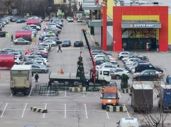 Первую новогоднюю елку начали ставить в Воронеже