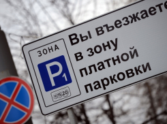 Мэрия рассказала о методике расчета цен на платных парковках Воронежа